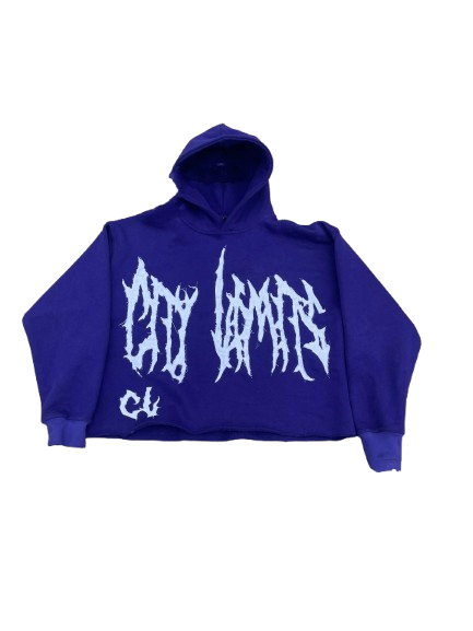 Purple Distressed Hoodie